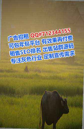 虞城IVF环卫公司